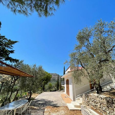 Colori Del Sud - Residence Mattinata Exterior foto
